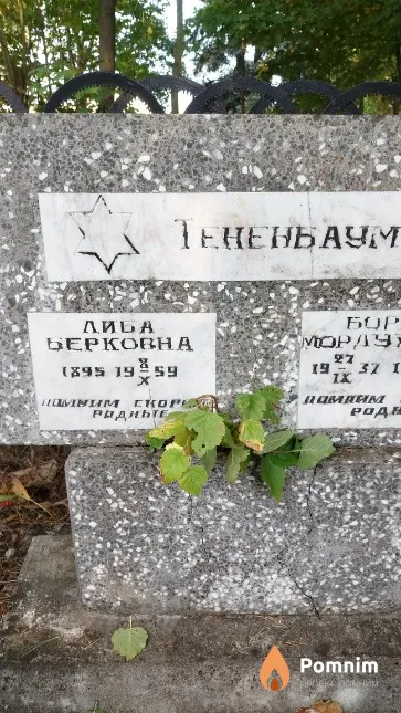 Тененбаум Либа Берковна