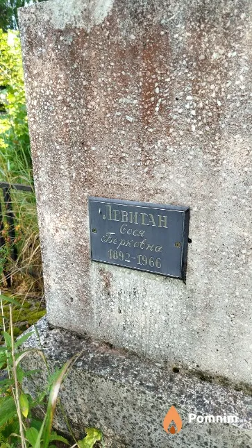 Левитан Cocя Берковна