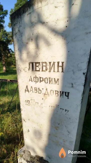 Левин Афроим Давыдович