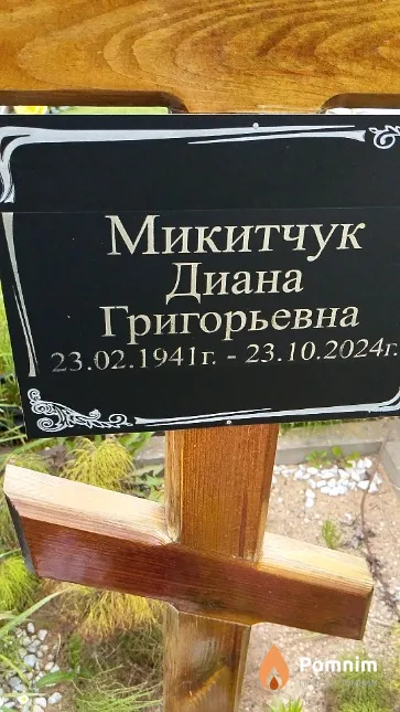 Микитчук Диана Григорьевна