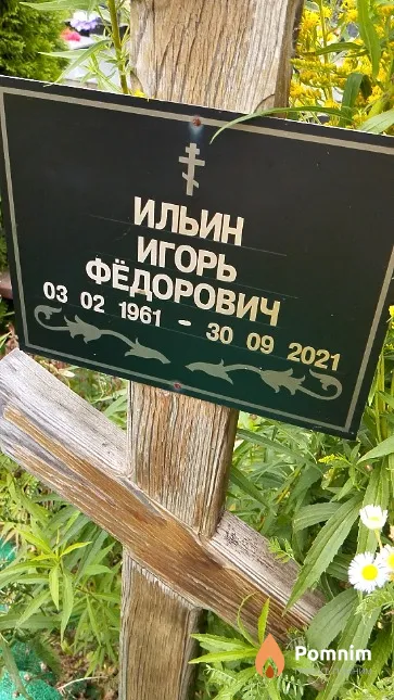 Ильин Игорь Фёдорович