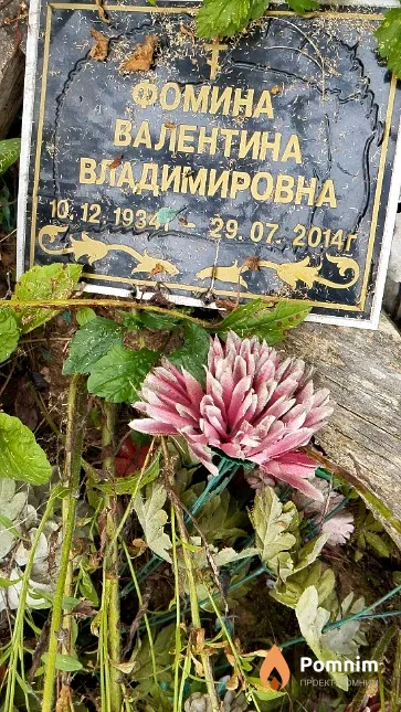 Фомина Валентина Владимировна