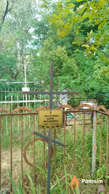 Нестерович Дарья Михайловна