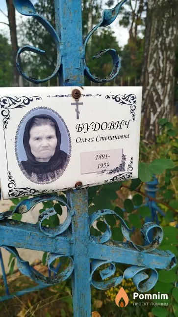 Будович Ольга Степановна