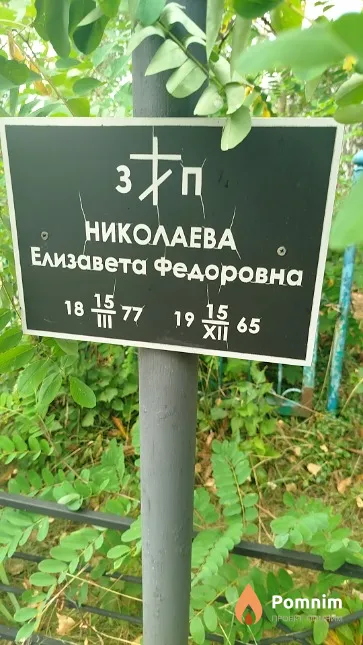 Николаева Елизавета Фёдоровна