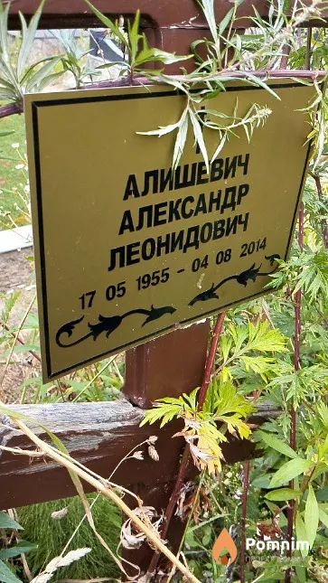 Алишевич Александр Леонидович