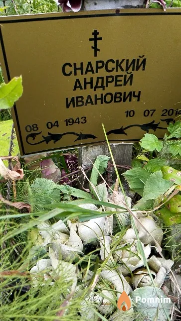 Снарский Андрей Иванович