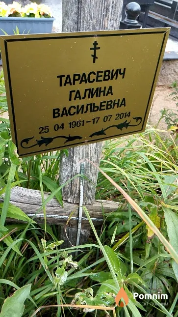 Тарасевич Галина Васильевна