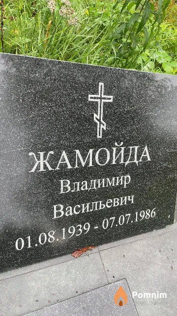 Жамойда Владимир Васильевич