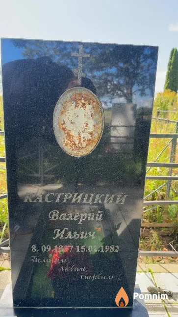 Кастрицкий Валерий Ильич