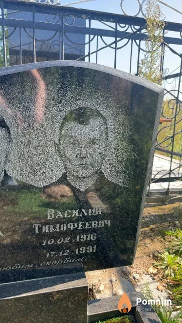 Никулин Василий Тимофеевич