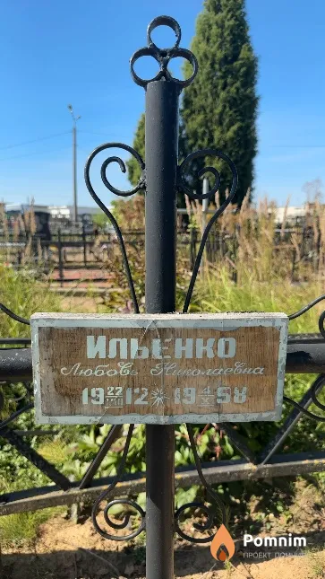 Ильенко Любовь Николаевна