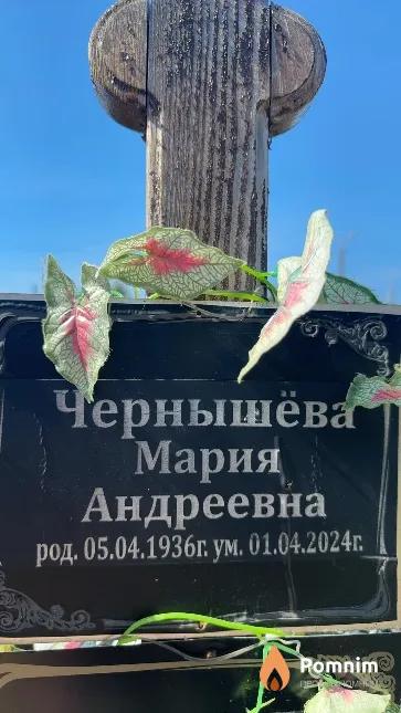 Чернышёва Мария Андреевна