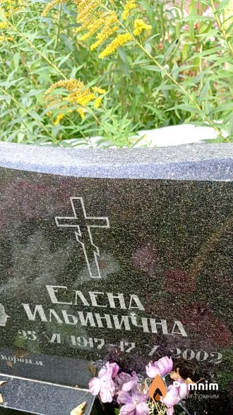 Лыткина Елена Ильинична