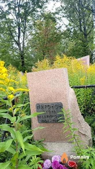 Миронов Игорь Владимирович
