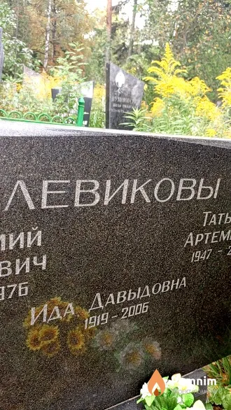 Левикова Ида Давыдовна