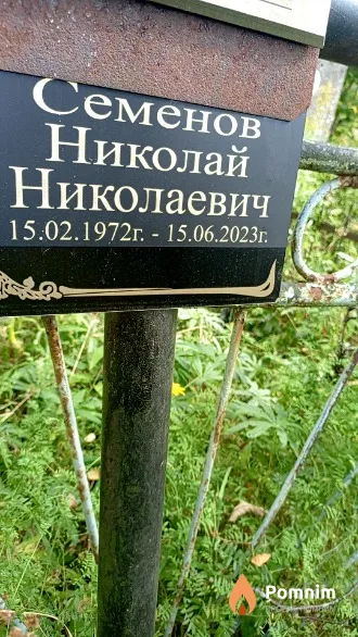 Семенов Николай Николаевич