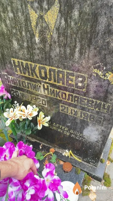 Николаев Анатолий Николяевич