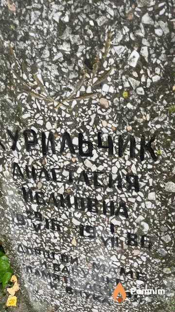 Курильчик Анастасия Ивановна