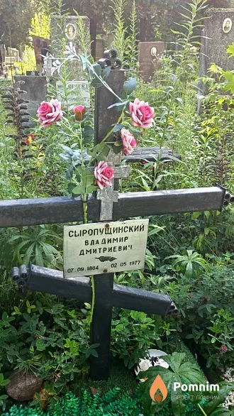 Сыропущинский Владимир Дмитриевич