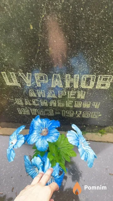 Цуранов Андрей Васильевич