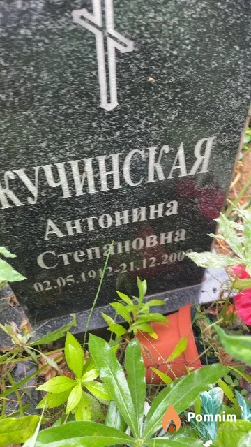 Кучинская Антонина Степановна