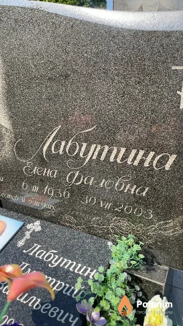 Лабутина Елена Фаловна