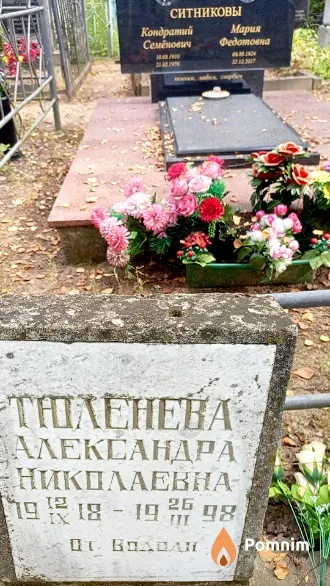 Тюленева Александра Николаевна