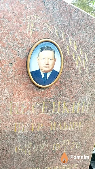 Плесецкий Петр Ильич