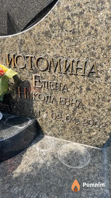 Истомина Елена Николаевна
