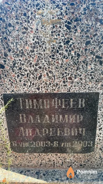 Тимофеев Владимир Андреевич