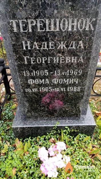 Терешонок Надежда Георгиевна