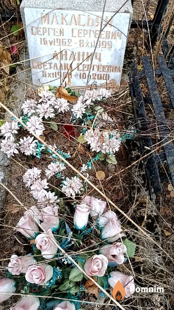 Ананич Светлана Сергеевна