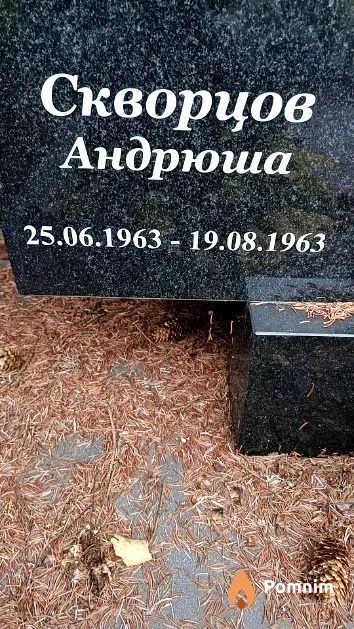 Скворцов Андрей