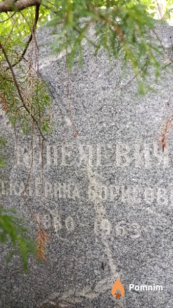 Капелевич Екатерина Борисовна
