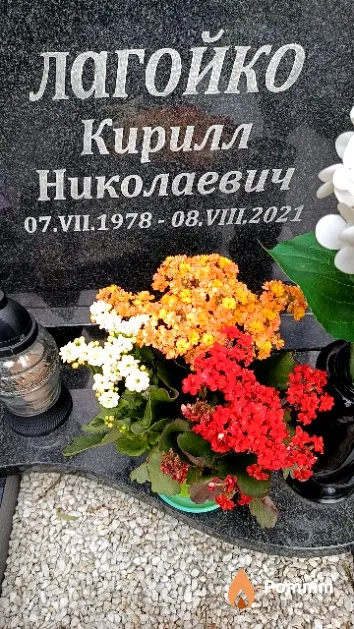 Лагойко Кирилл Николаевич
