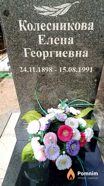 Колесникова Елена Георгиевна