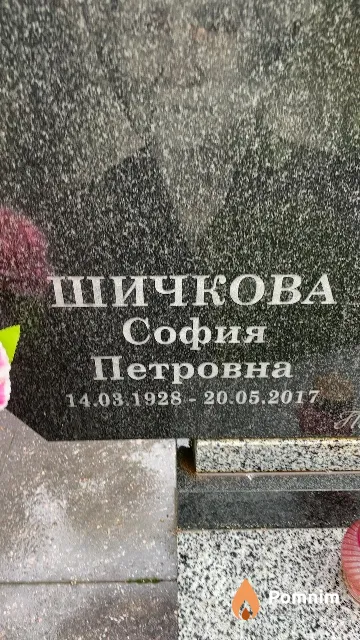 Шичкова София Петровна