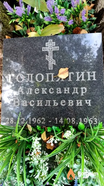 Голопятин Александр Васильевич