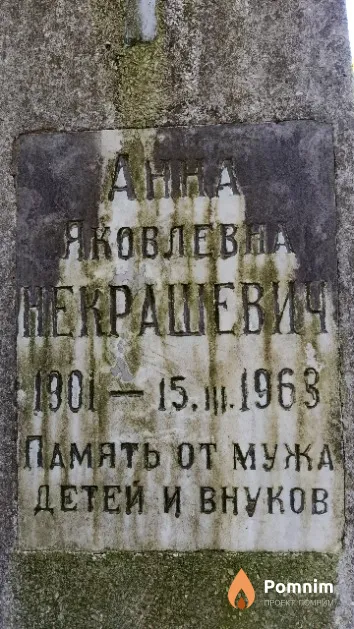 Некрашевич Анна Яковлевна