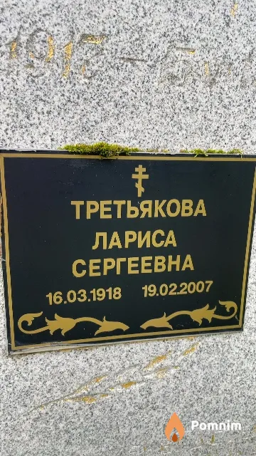 Третьякова Лариса Сергеевна
