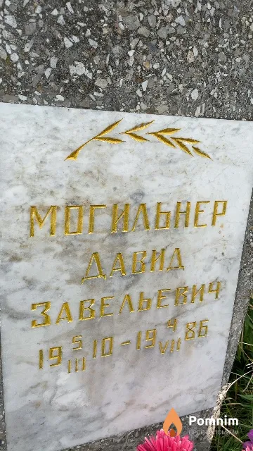 Могильнер Давид Завельевич