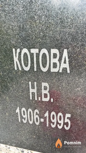 Котова H В