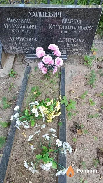 Денисов Петр Демидович