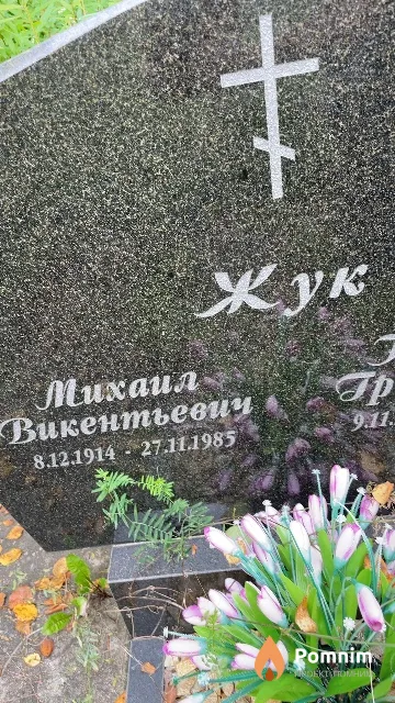 Жук Михаил Викентьевич