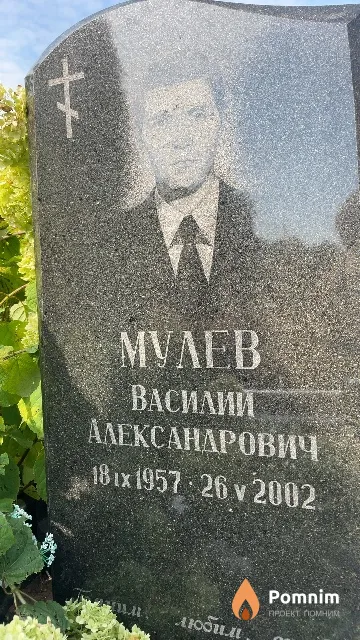 Мулев Василий Александрович