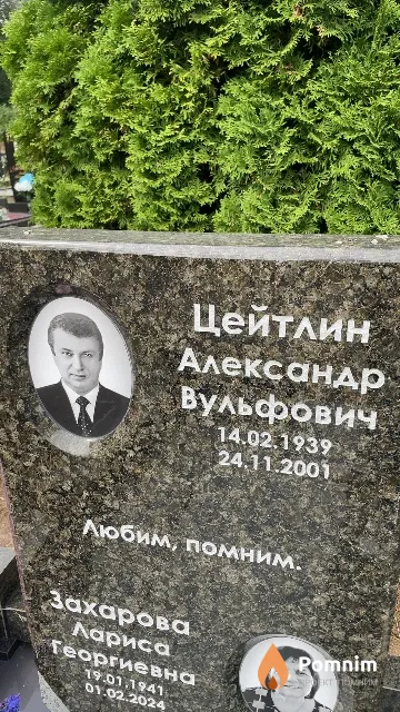 Цейтлин Александр Вульфович