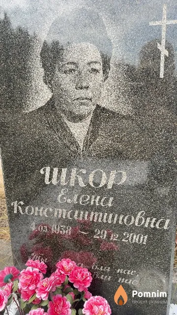 Шкор Елена Константиновна