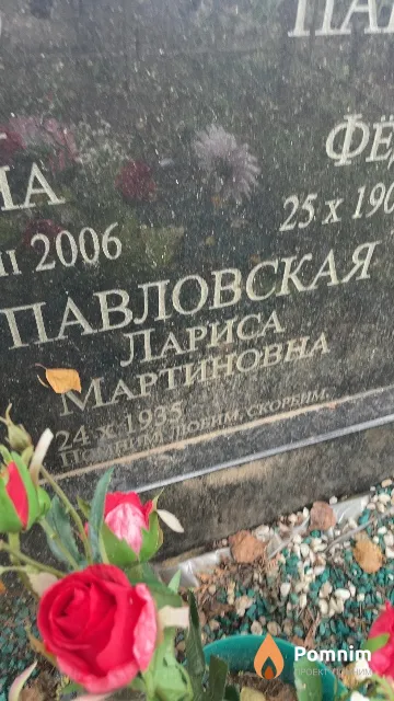 Павловская Лариса Мартиновна
