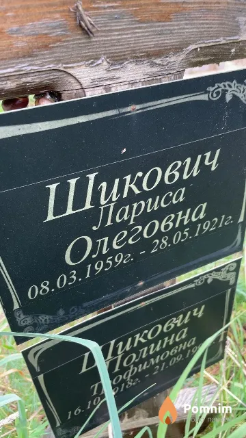 Шикович Лариса Олеговна